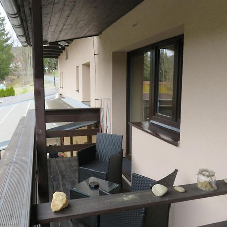 Pension Aura Spicak, Nektere Pokoje Se Saunou Železná Ruda المظهر الخارجي الصورة