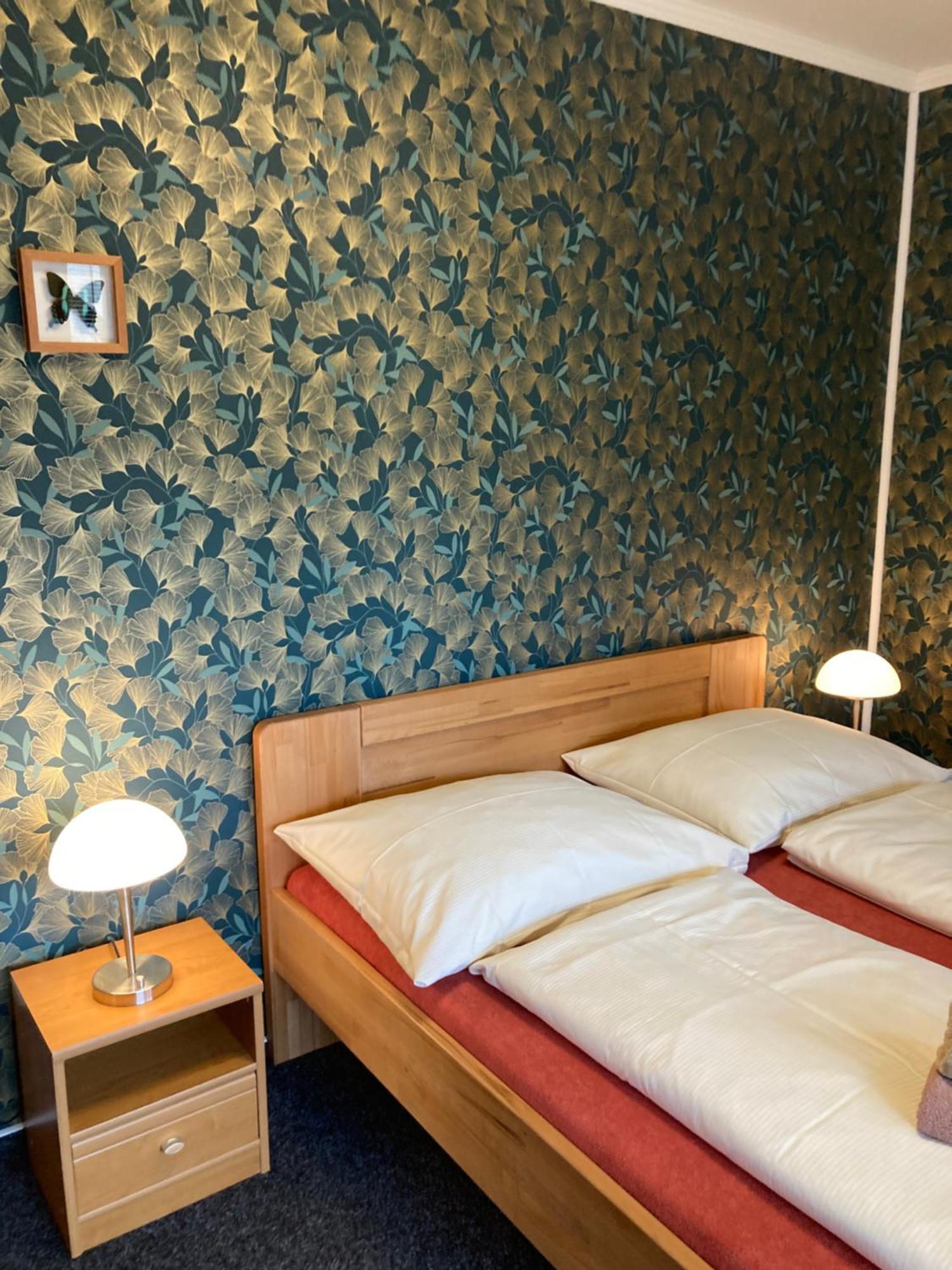 Pension Aura Spicak, Nektere Pokoje Se Saunou Železná Ruda المظهر الخارجي الصورة