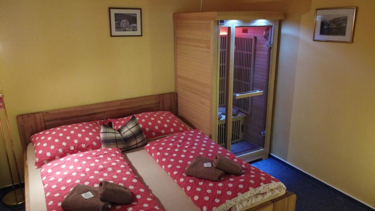 Pension Aura Spicak, Nektere Pokoje Se Saunou Železná Ruda المظهر الخارجي الصورة